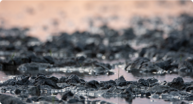 産業廃棄物収集運搬事業